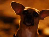 ��������� ���������