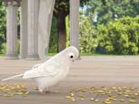 ���� � �������: ������� ���!�