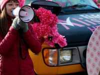 ������ ����