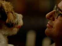 ���� ����� � ����� ������ ����