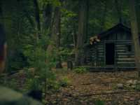 ���� ��������� ����