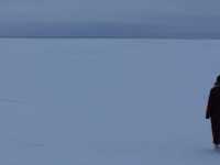 ������, ����