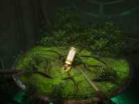 ���� ��� � �����-���