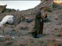 ������� ����� �����