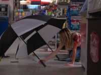 ������: ������ ����