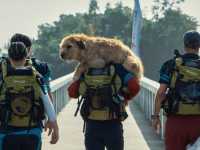 �����, �� ������