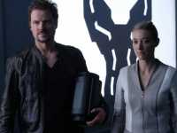 ׸���� �������