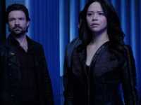 ׸���� �������