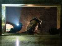 ������ �����. ���� ������