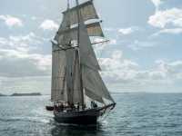 �� ���� �����