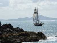 �� ���� �����