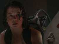 �����: �����