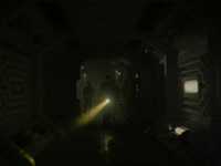 �����: �����