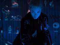 ���� �������