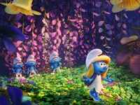 ��������: ���������� �������