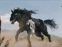 �����: ��������� �����