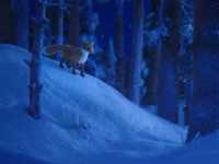 �������������� ������� ������ ��������