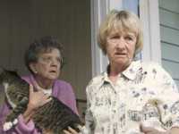 ��������� �����������