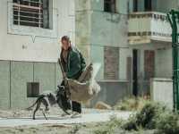 ׸���� ��