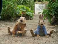 ������ �����