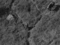 �� ���� �����