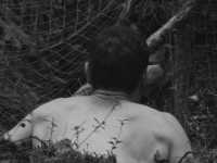 �� ���� �����