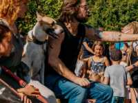 �����. ������� �����