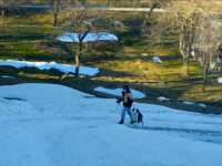 �������� �������