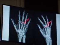 �������� �������