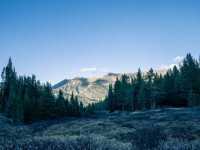 ������ �����