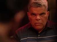 ������� �����