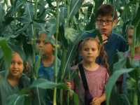 ���� �����