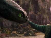 ��� ��������� �������