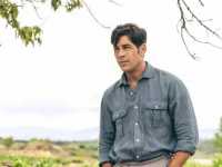 ������ ������