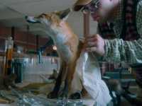 ������� �������